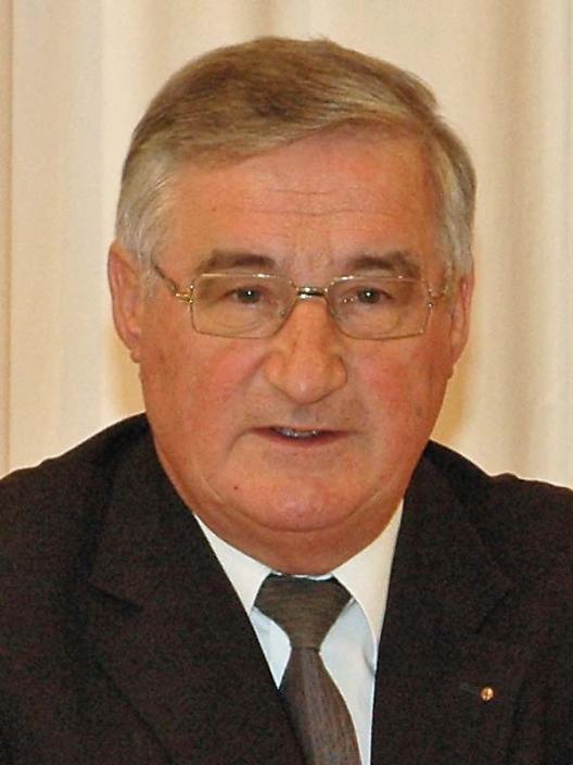 Prof. Alfred Hierold