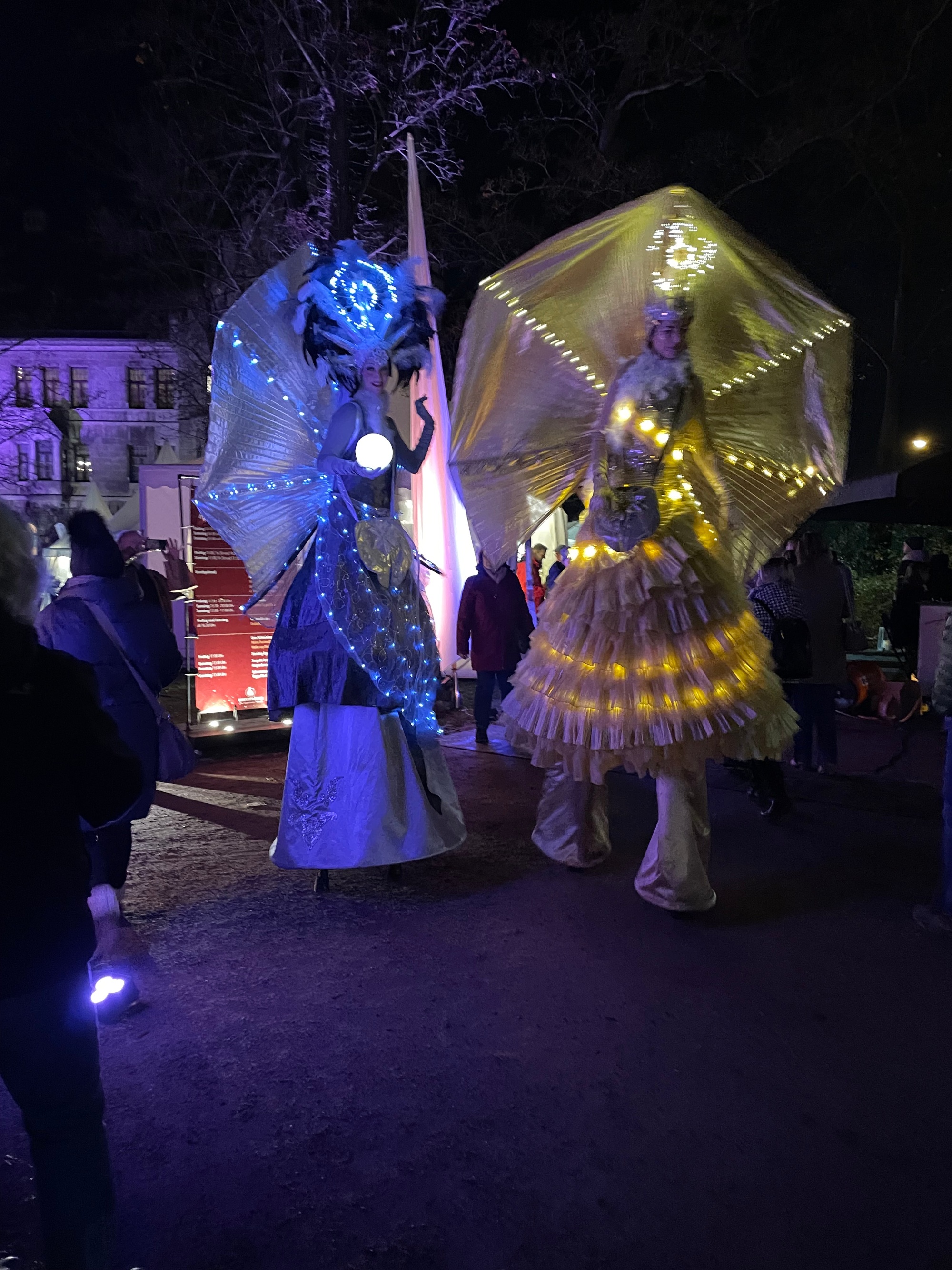 Winterträume 2023-11-18